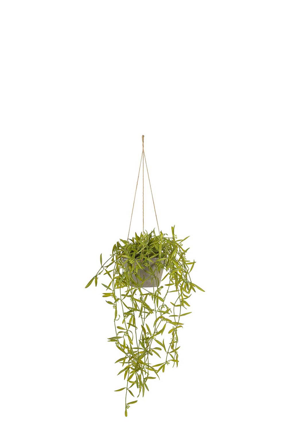 Konstgjord grön Hoya 20cm