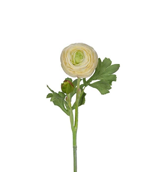 Konstgjord vit Ranuncel 50cm