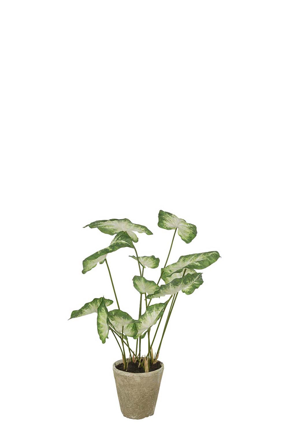 Konstgjord grön Caladium 80cm