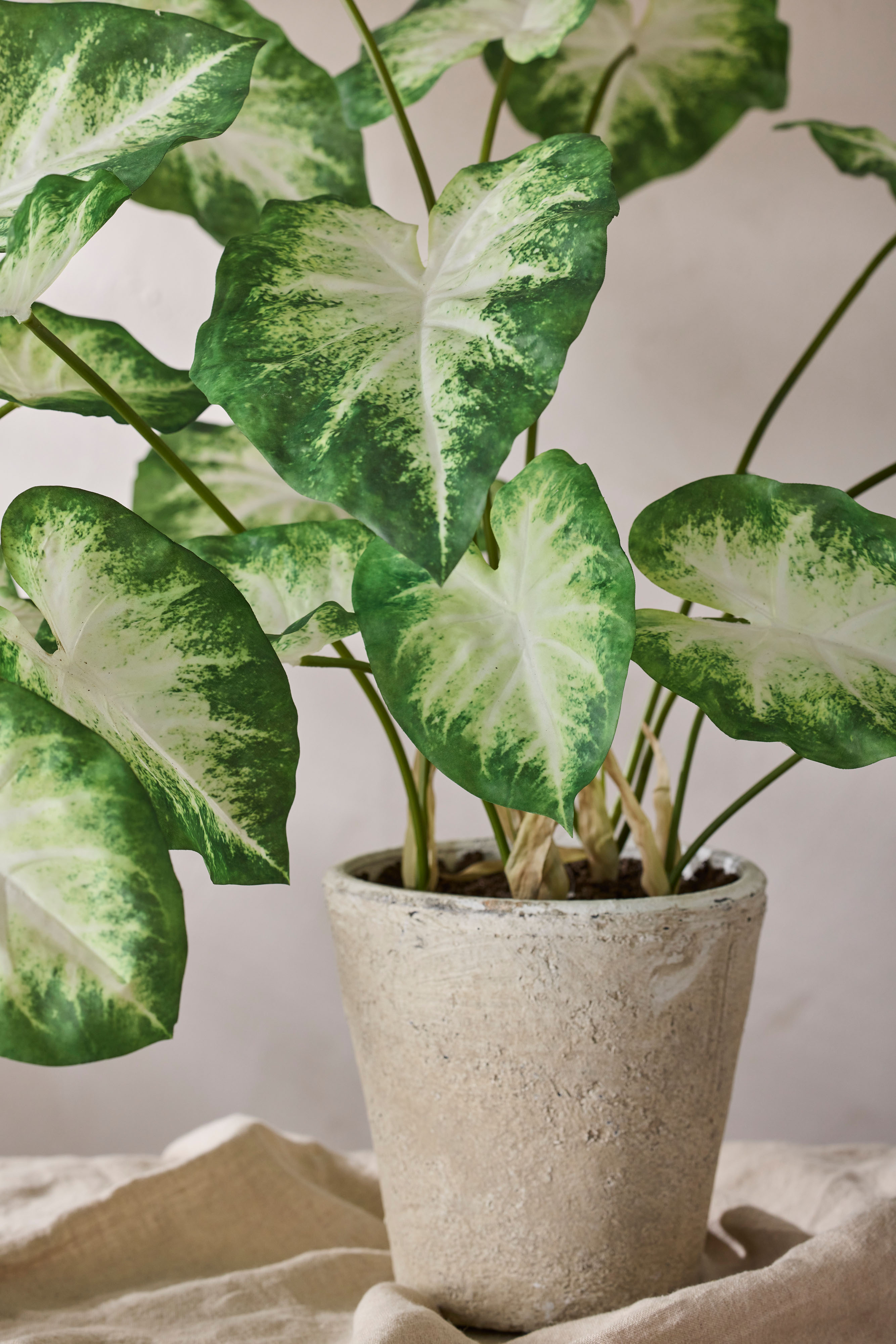 Konstgjord grön Caladium 80cm