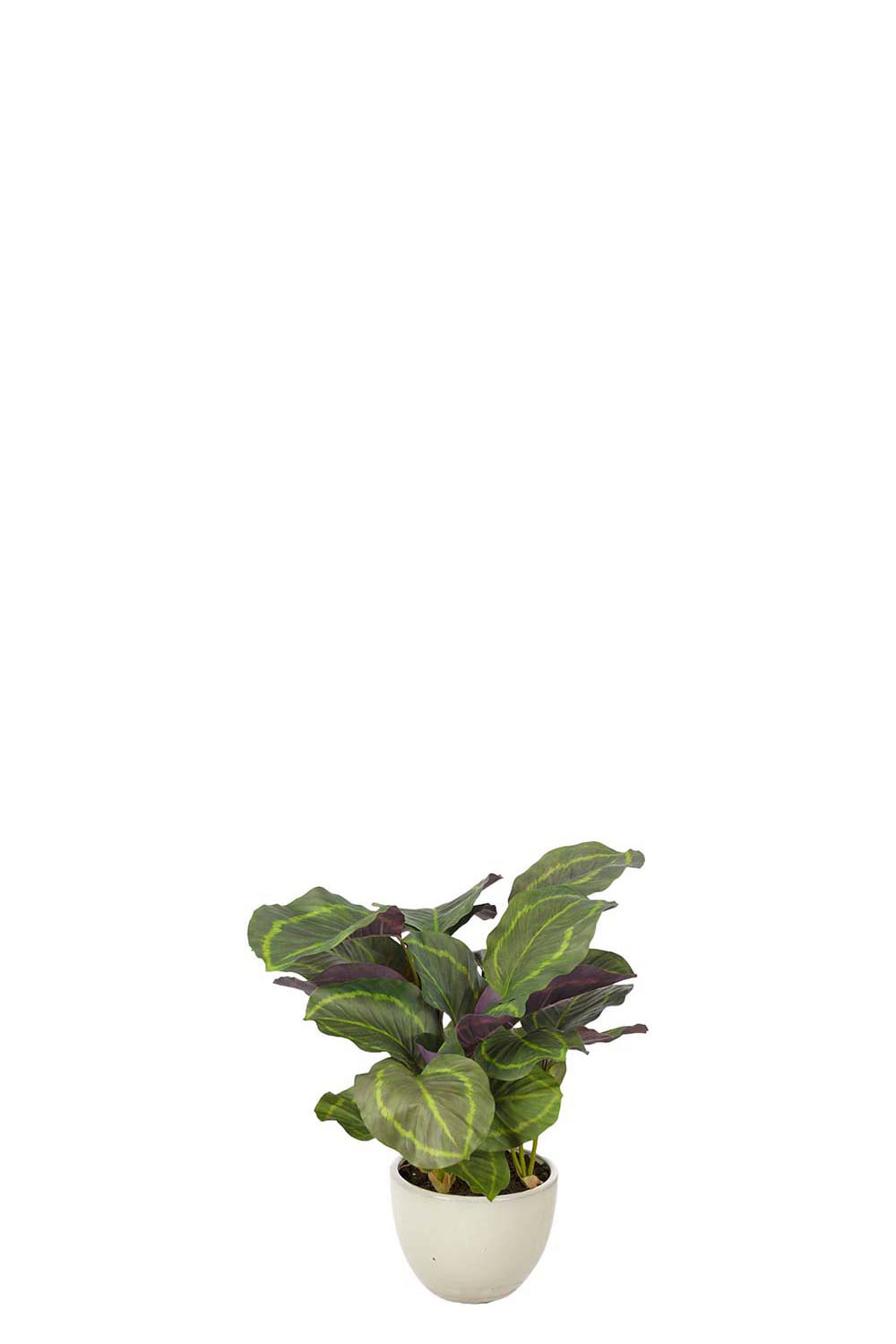 Konstgjord grön Calathea 65cm