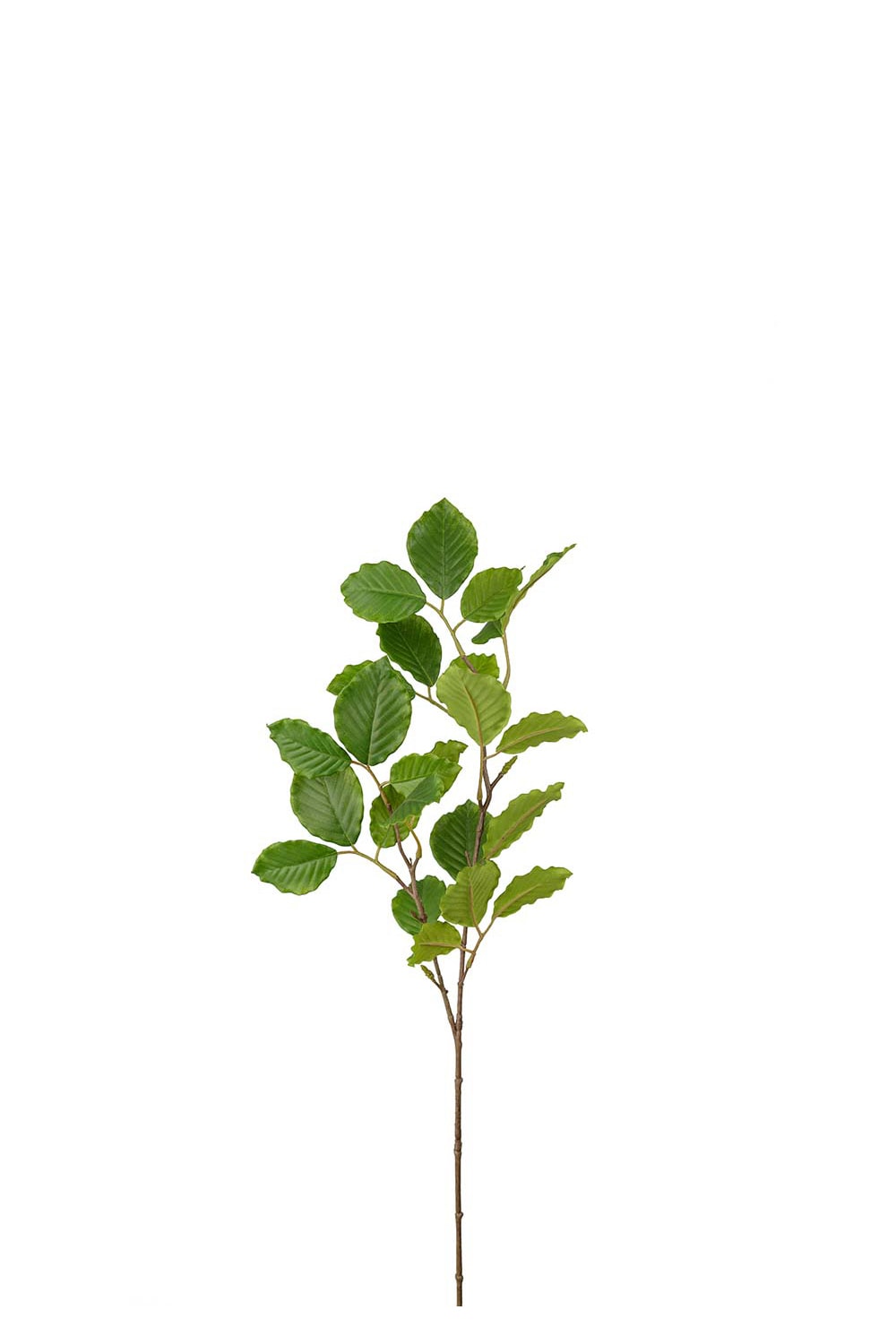 Konstgjord grön Bok 65cm