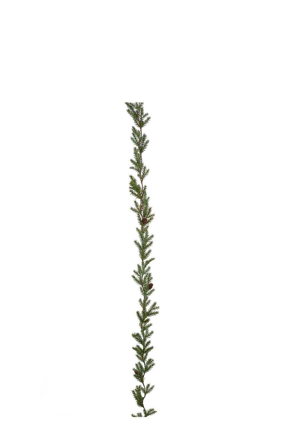 Konstgjord grön Grangirlang med Kottar 180cm