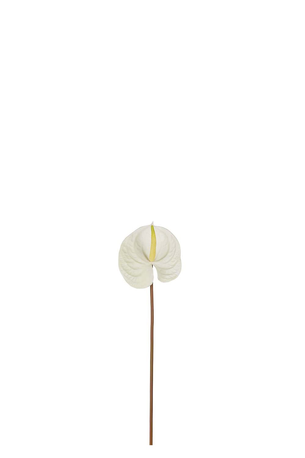 Konstgjord vit Anthurium 70cm