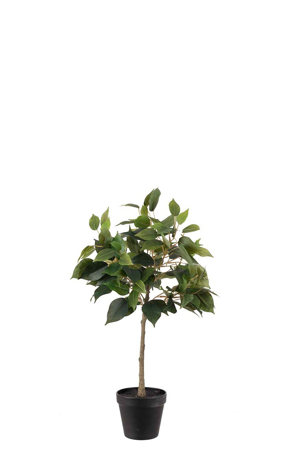 Konstgjord grön Fikus Benjamin 55cm