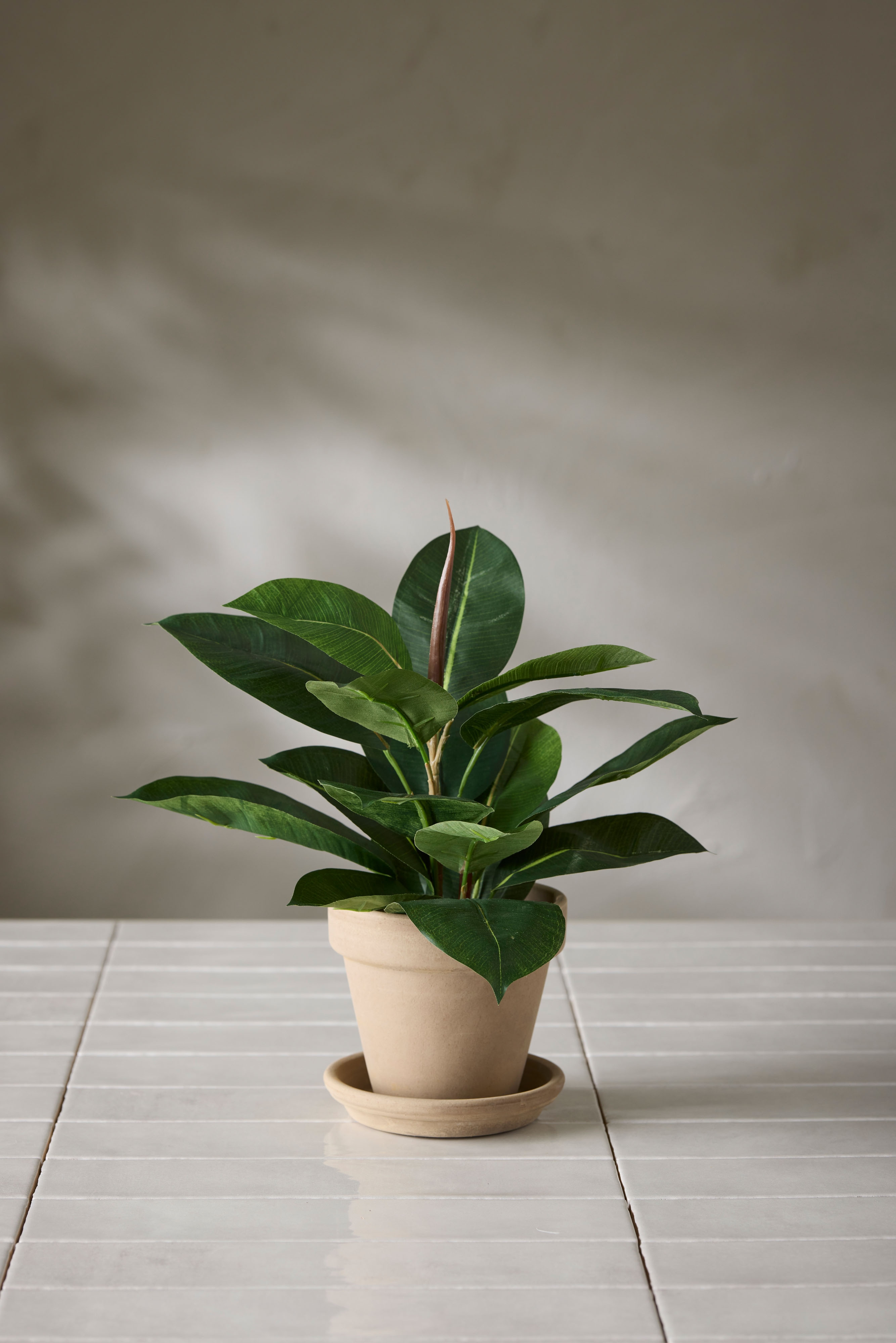 Konstgjord grön Fikus Robusta 35cm