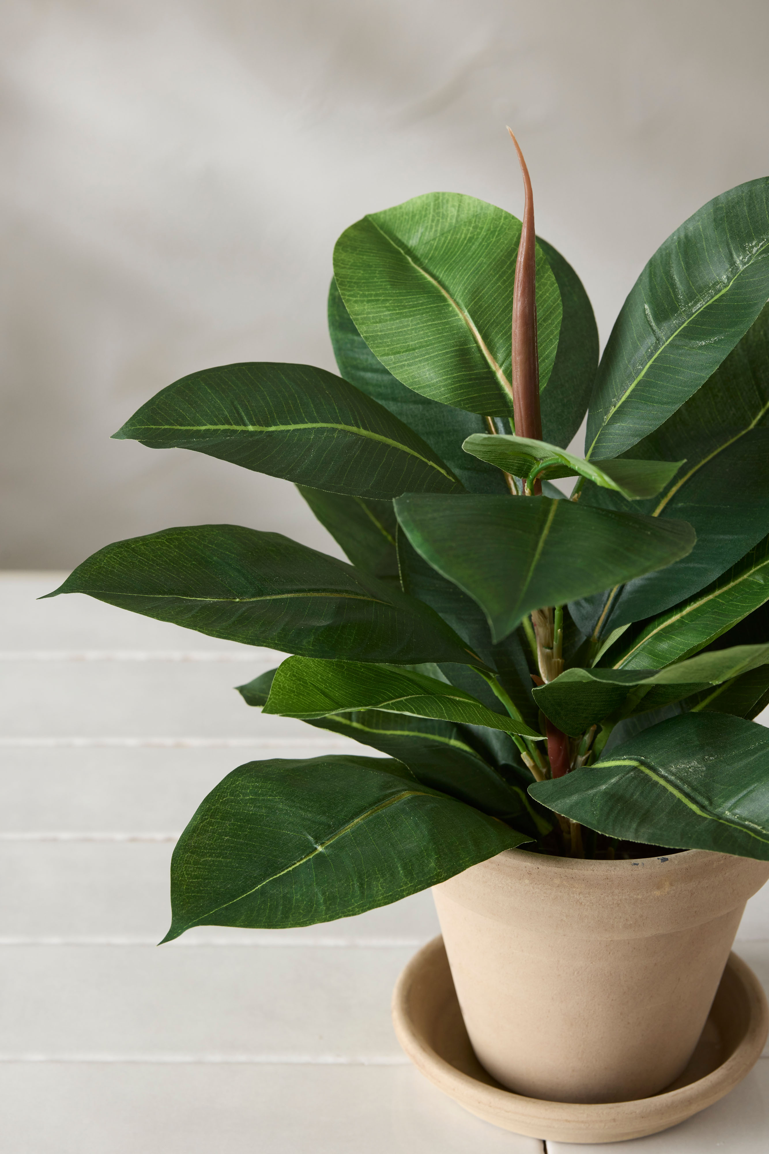 Konstgjord grön Fikus Robusta 35cm