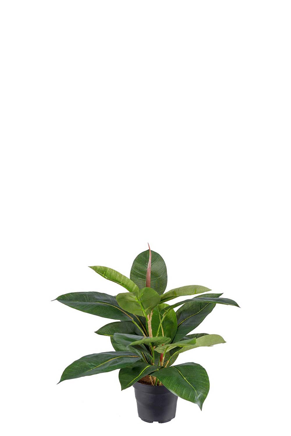 Konstgjord grön Fikus Robusta 35cm