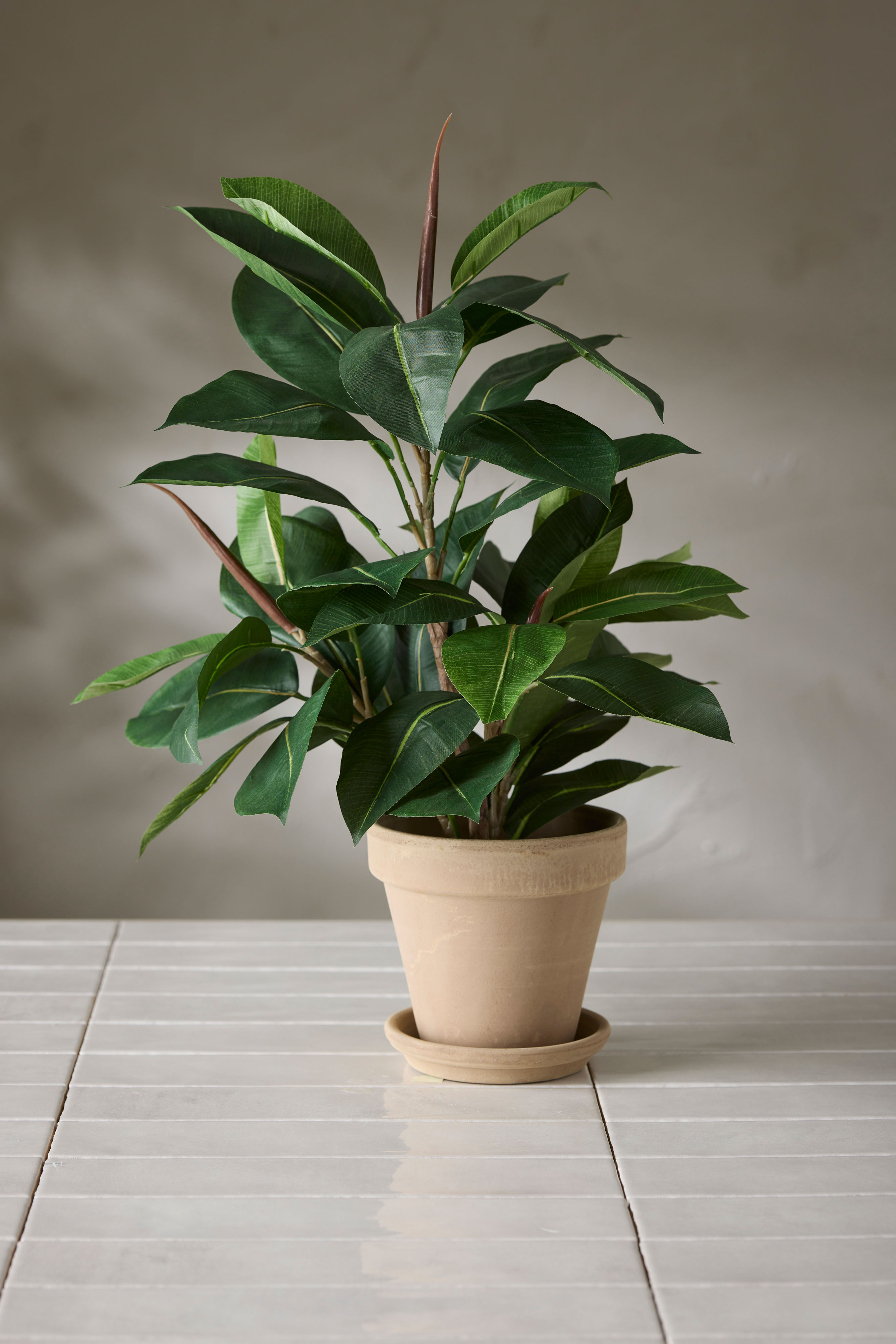 Konstgjord grön Fikus Robusta 50cm