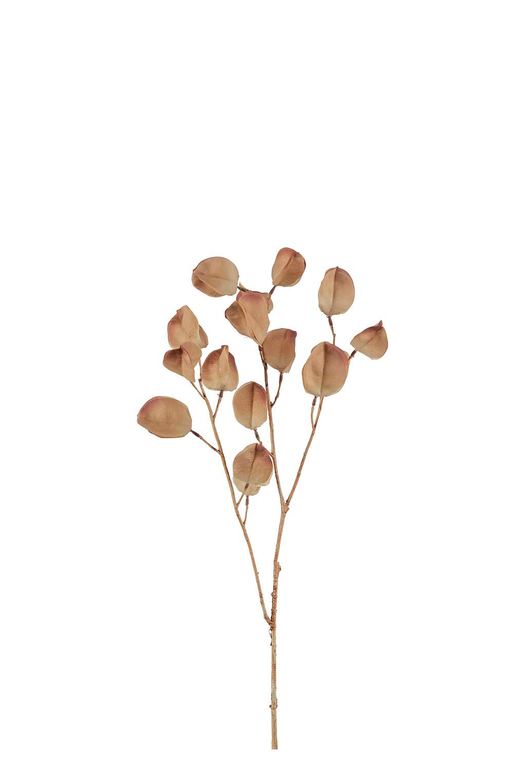 Konstgjord brun Physalis 60cm