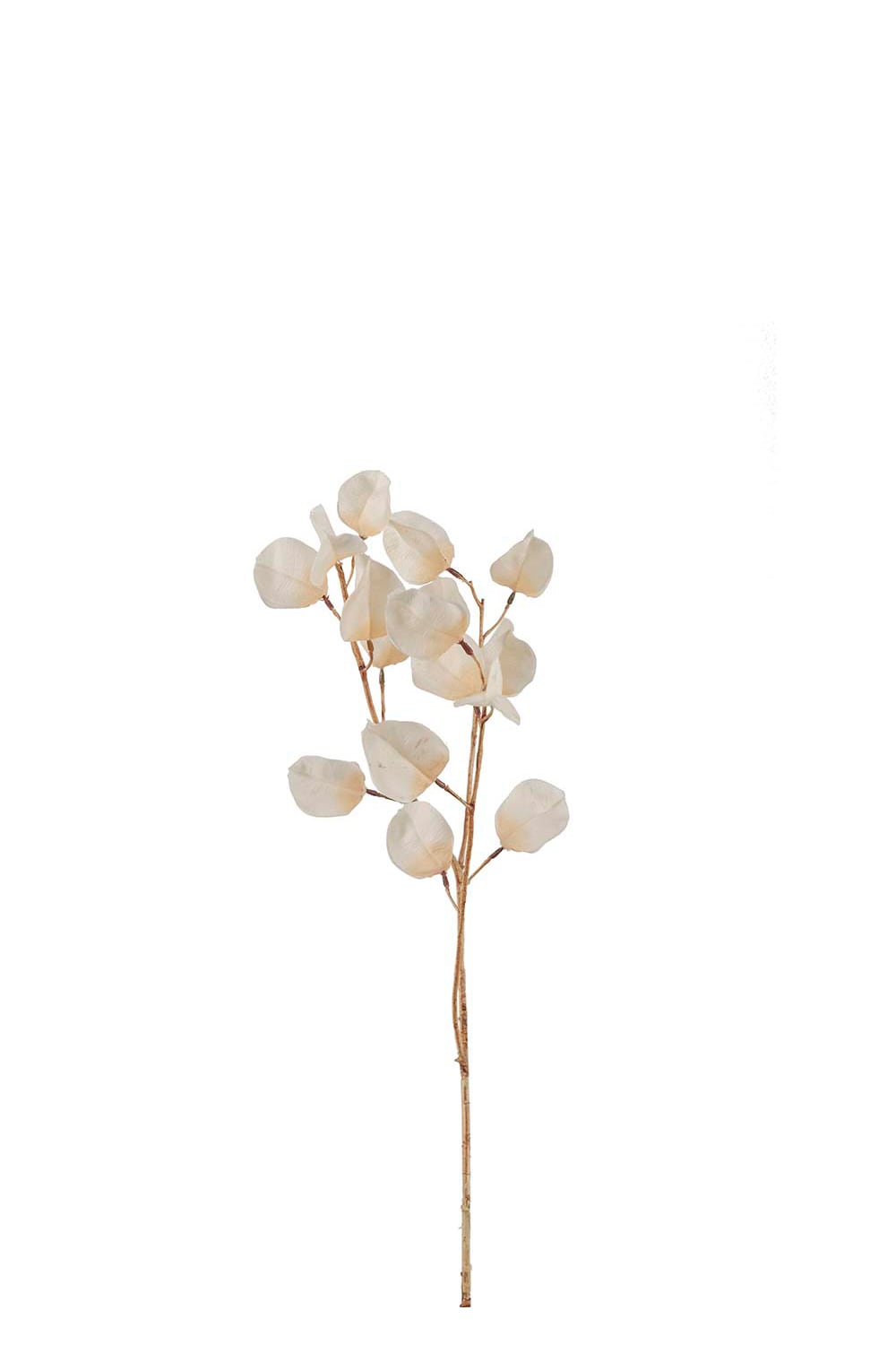 Konstgjord beige Physalis 60cm