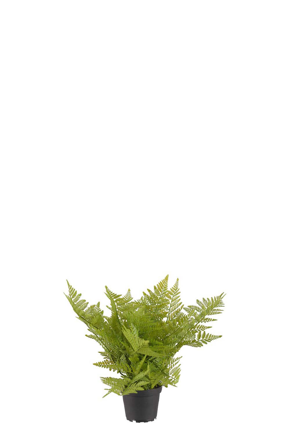 Konstgjord grön Ormbunke 30cm