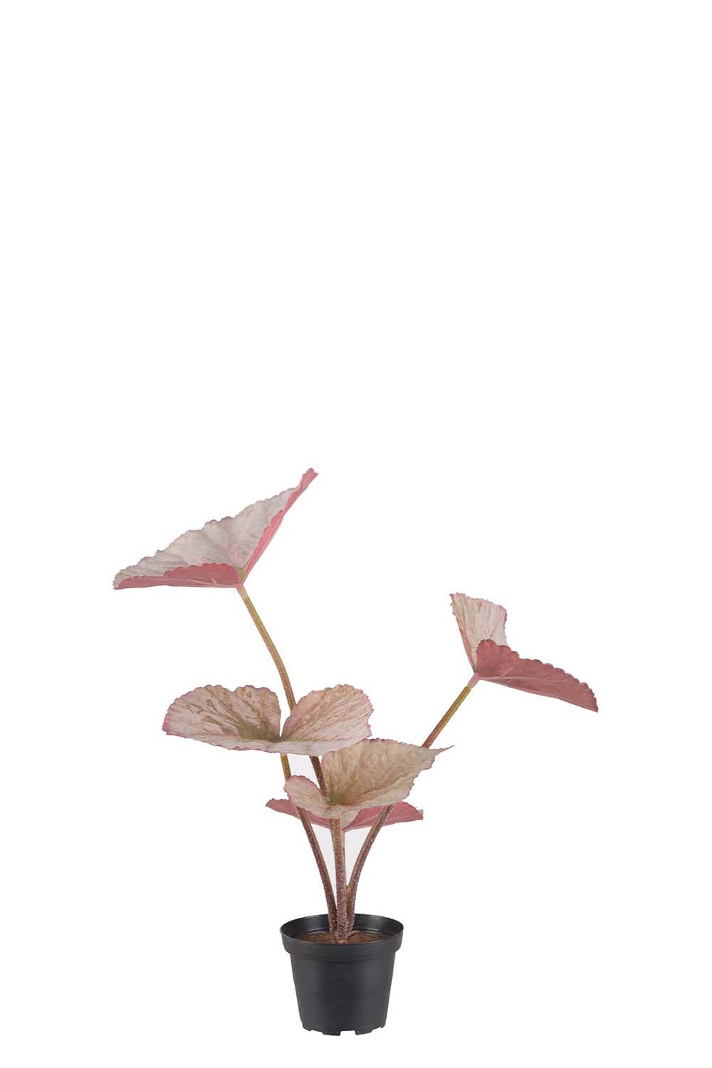 Konstgjord flerfärgad Rexbegonia 35cm