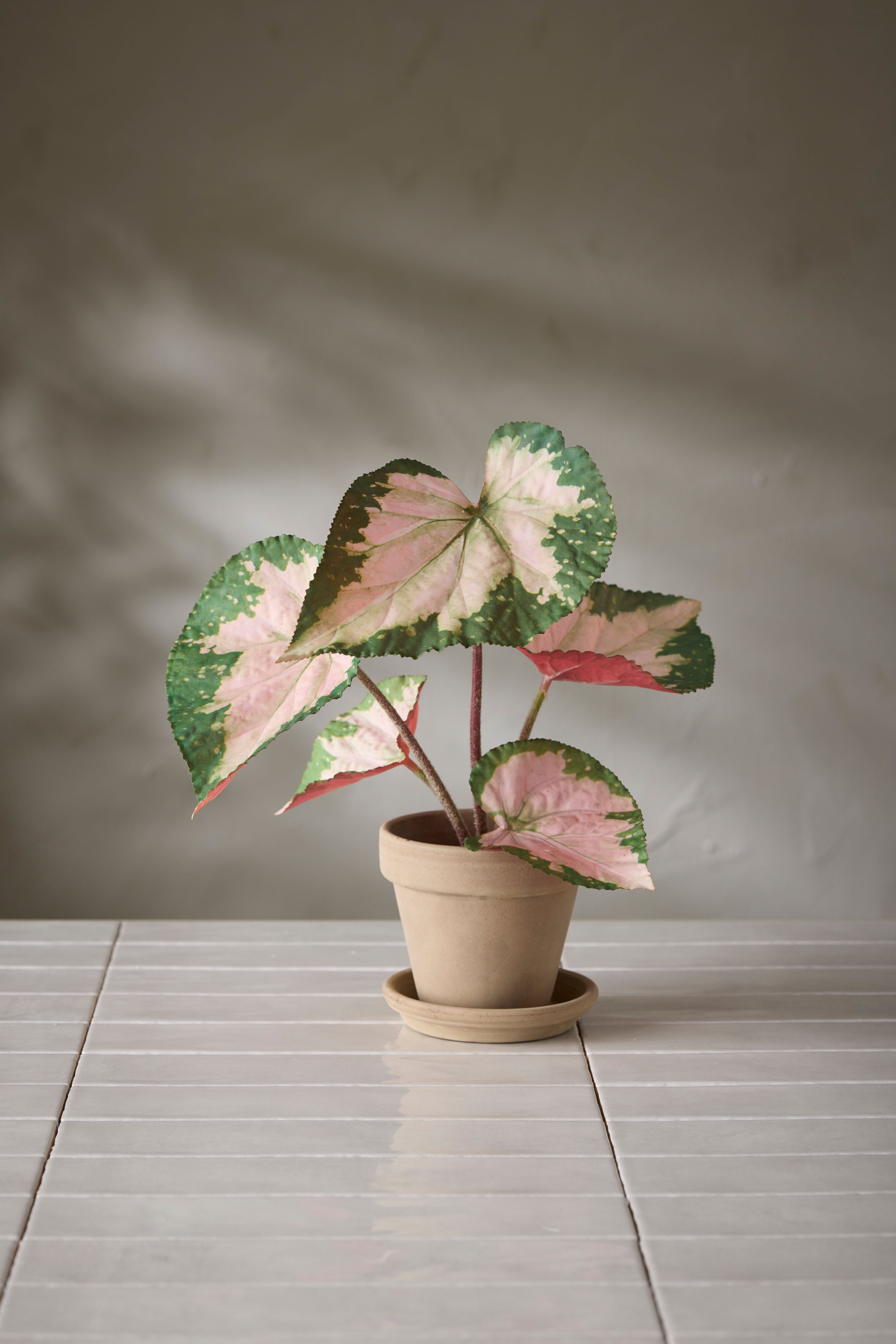 Konstgjord flerfärgad Rexbegonia 35cm