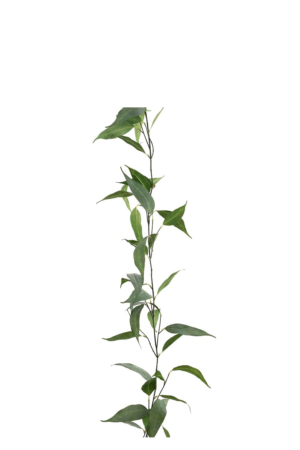 Konstgjord grön Eucalyptus girlang 190cm