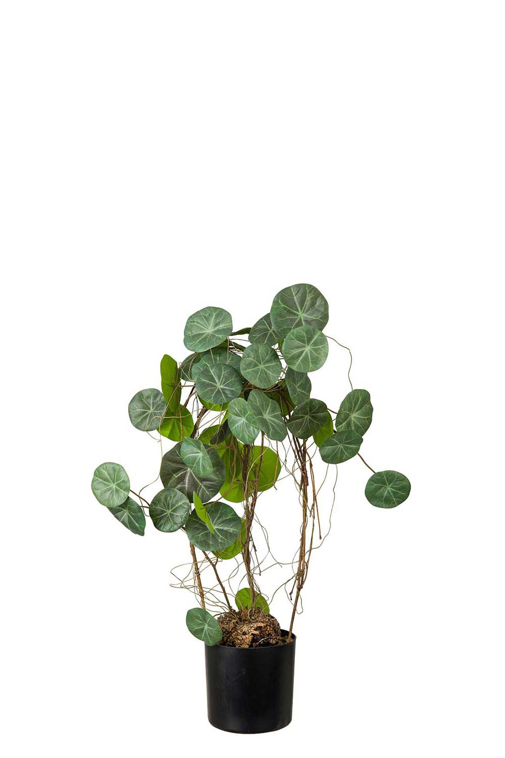 Konstgjord grön Stephania 55cm