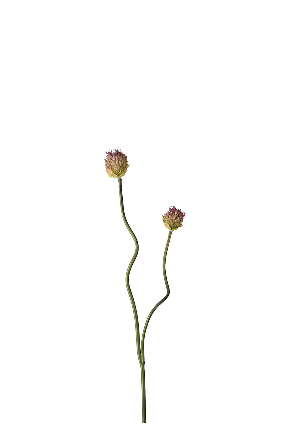 Konstgjord lila Allium 65cm