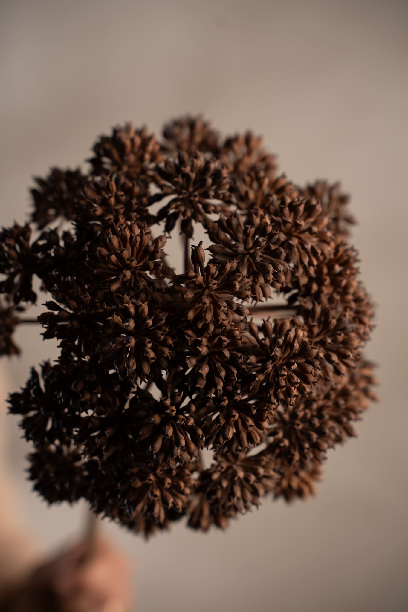 Konstgjord brun Angelica 95cm