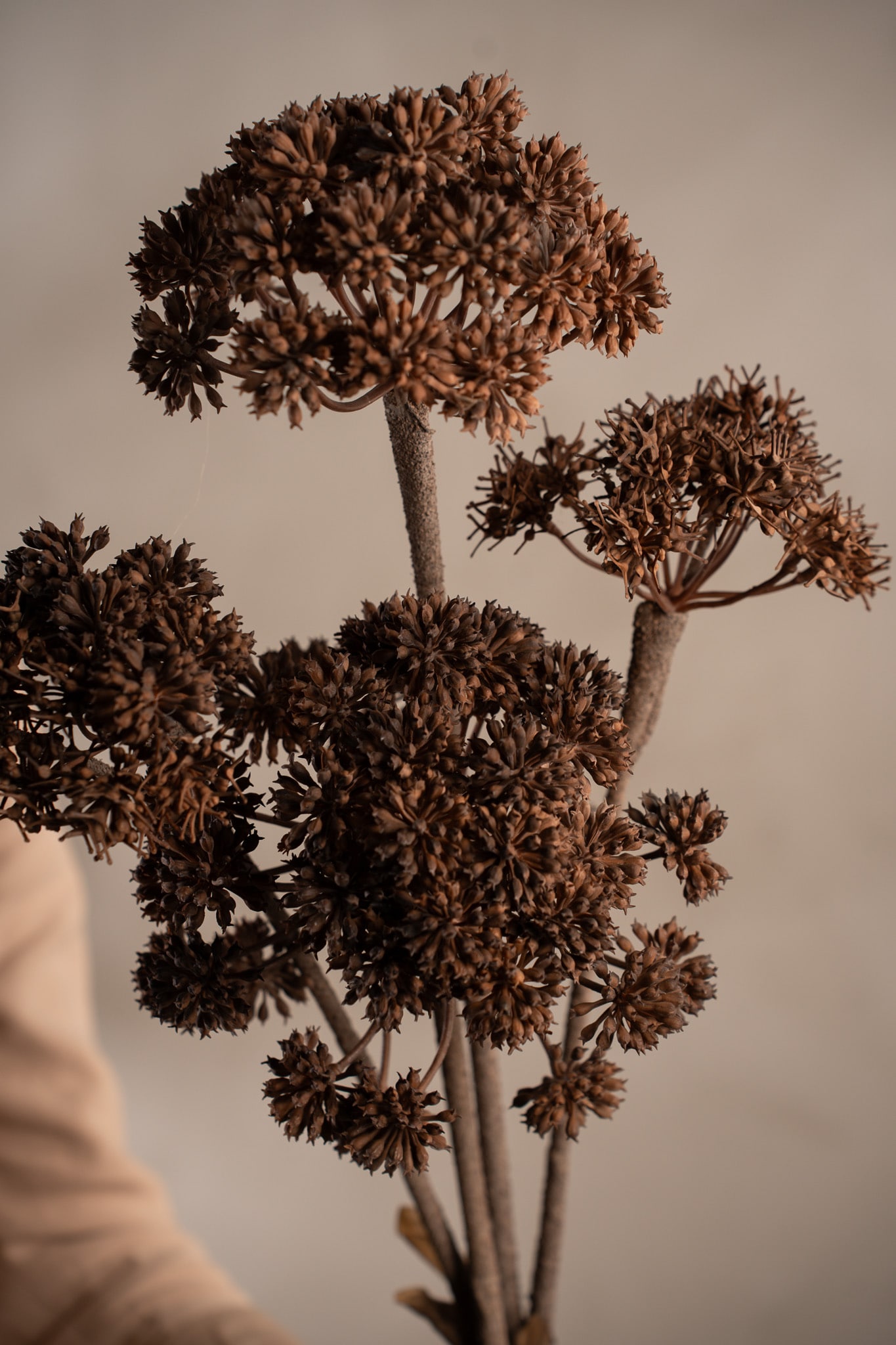 Konstgjord brun Angelica 125cm