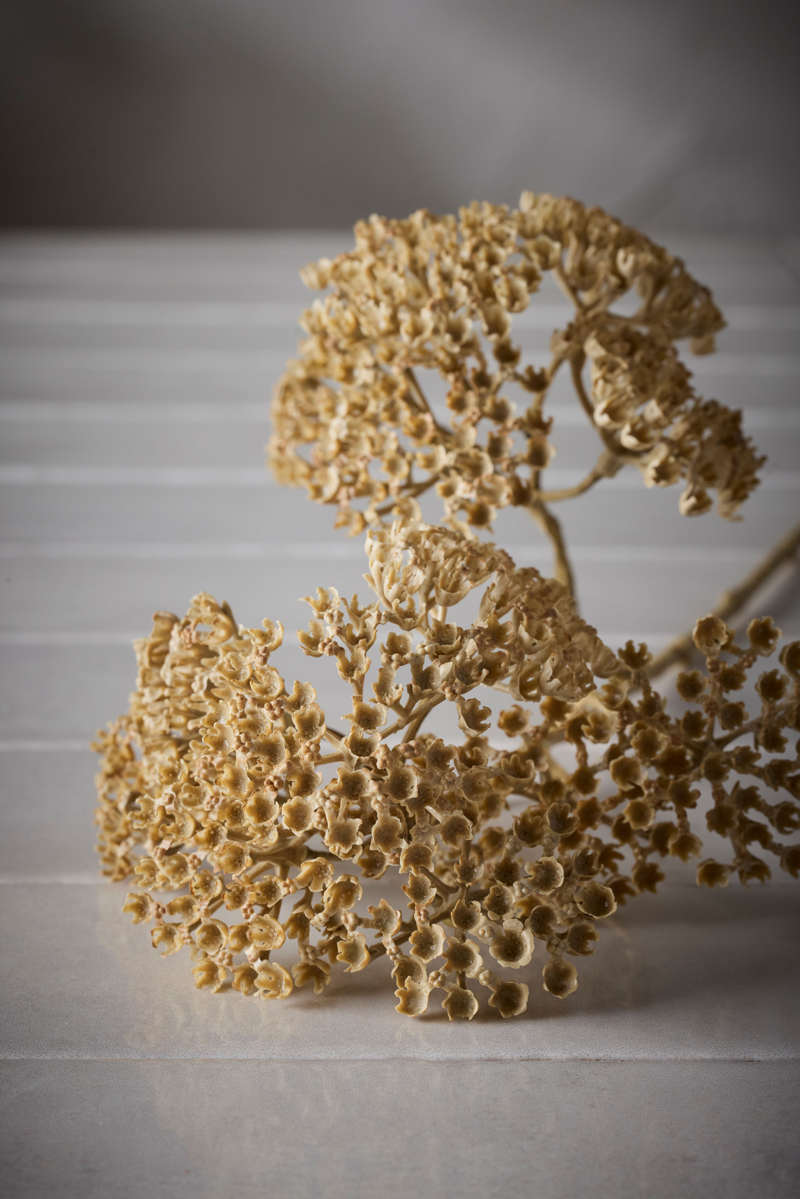 Konstgjord beige Röllika 50cm