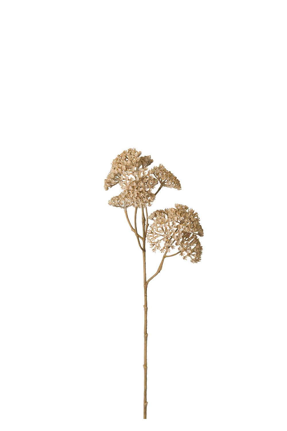 Konstgjord beige Röllika 50cm