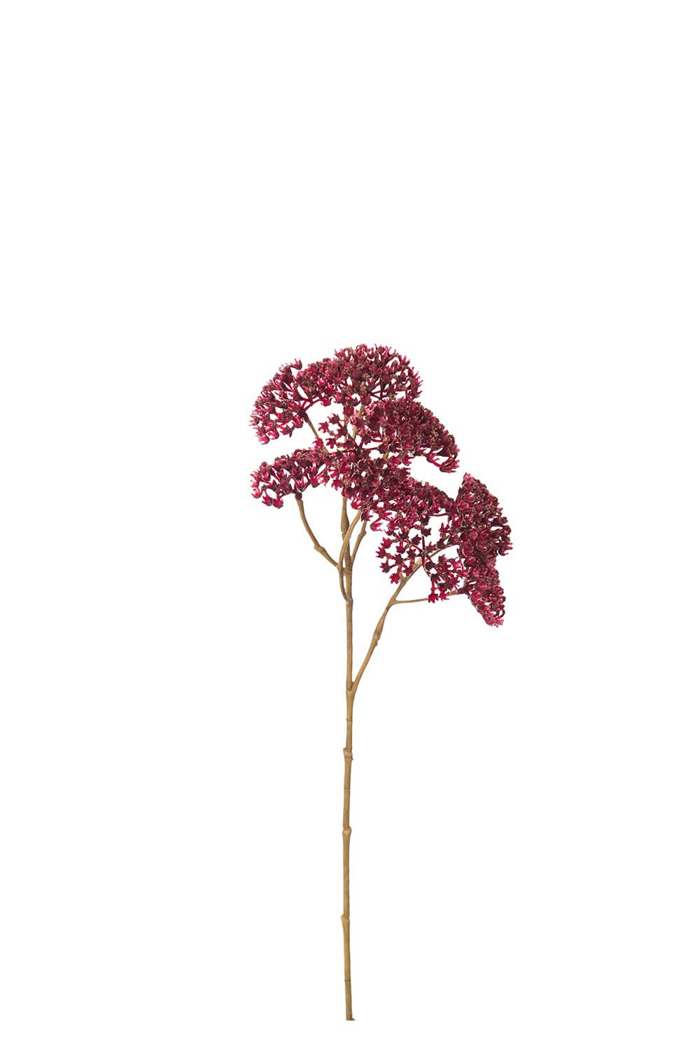 Konstgjord burgundy Röllika 50cm
