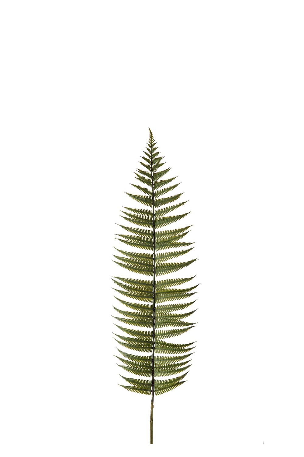 Konstgjord grön Ormbunksblad 105cm