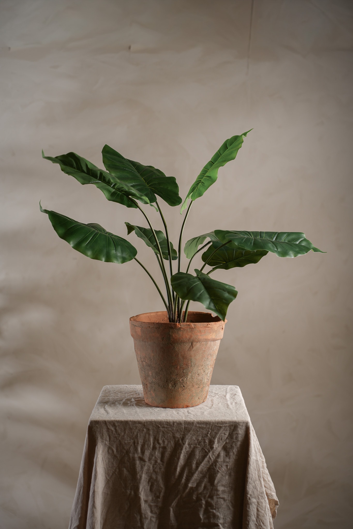 Konstgjord grön Alocasia i kruka 60cm