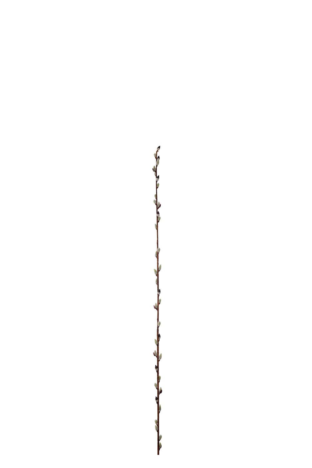 Konstgjord brun Vide 128cm