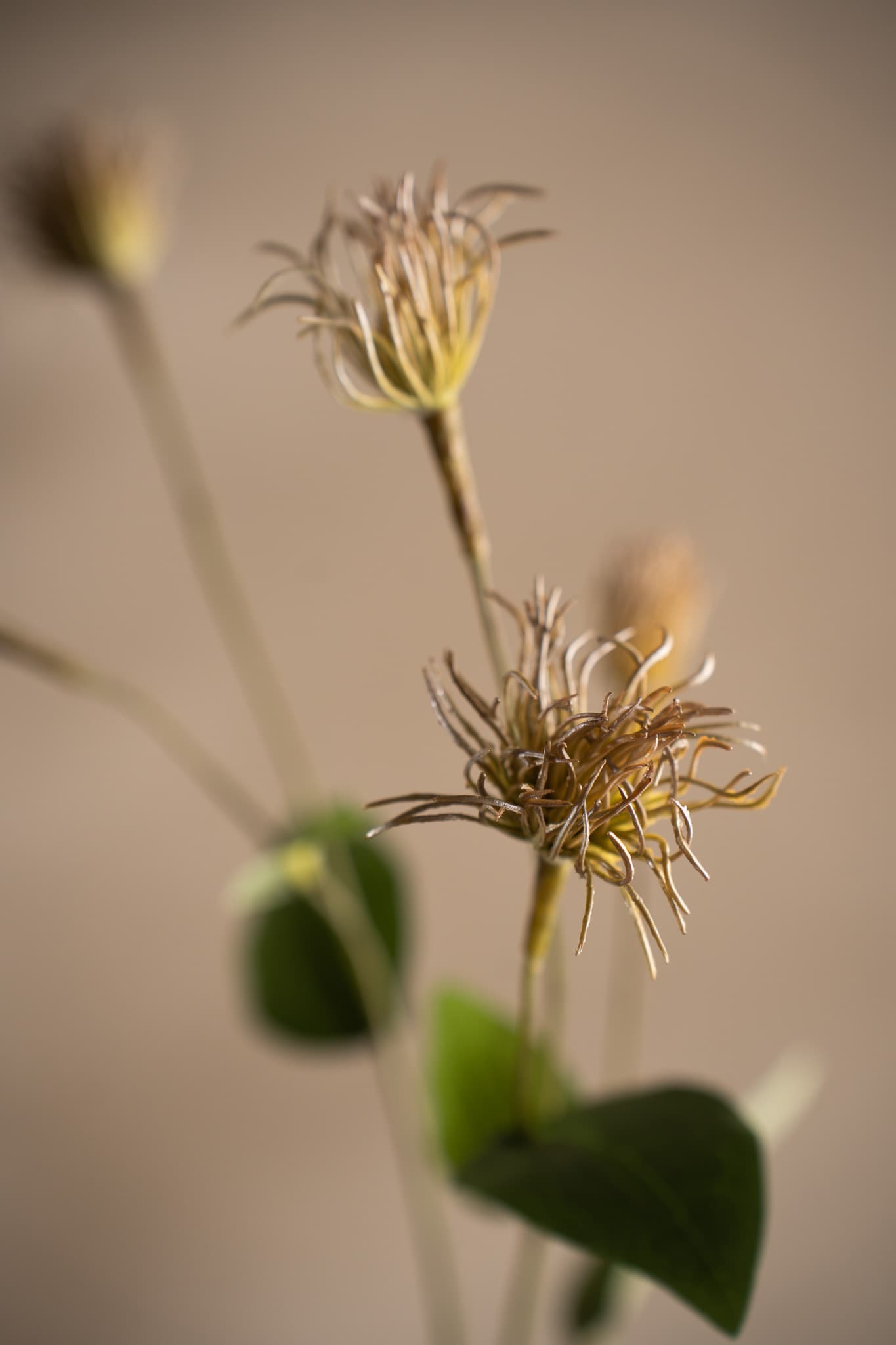 Konstgjord grön Clematis 69cm