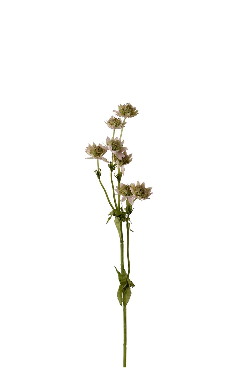 Konstgjord rosa Stjärnflocka 55cm
