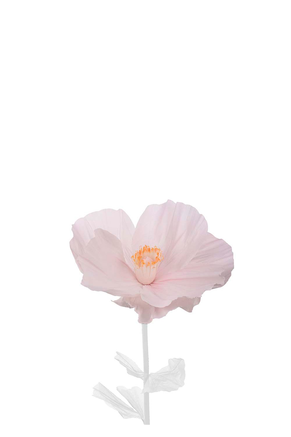 Stor rosa pappblomma Alice Ø80cm