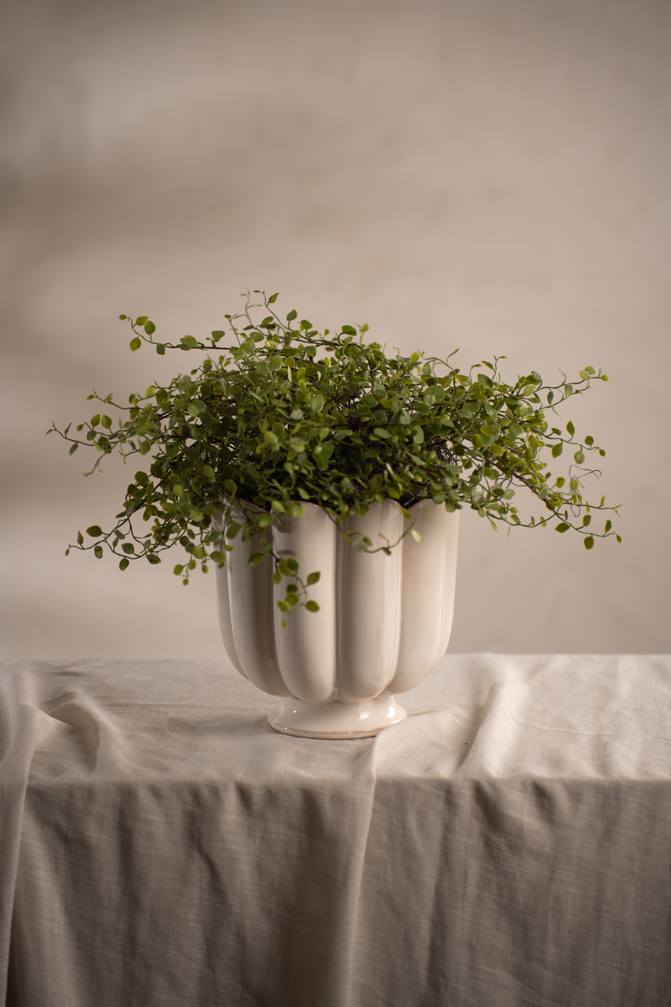 Konstgjord grön Muehlenbeckia 28cm