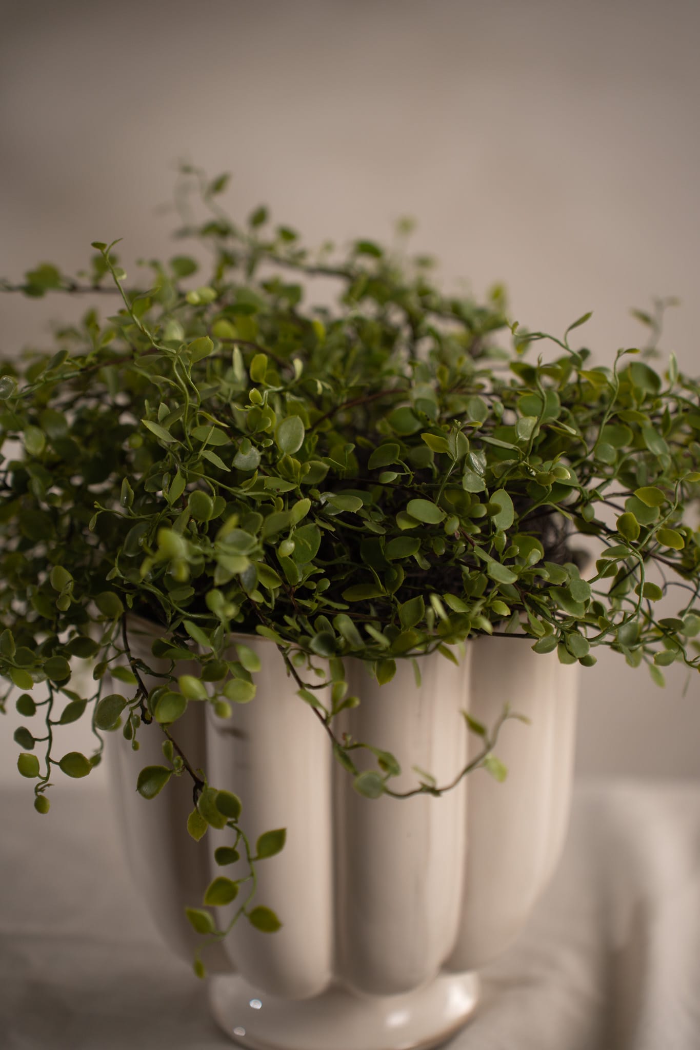 Konstgjord grön Muehlenbeckia 28cm