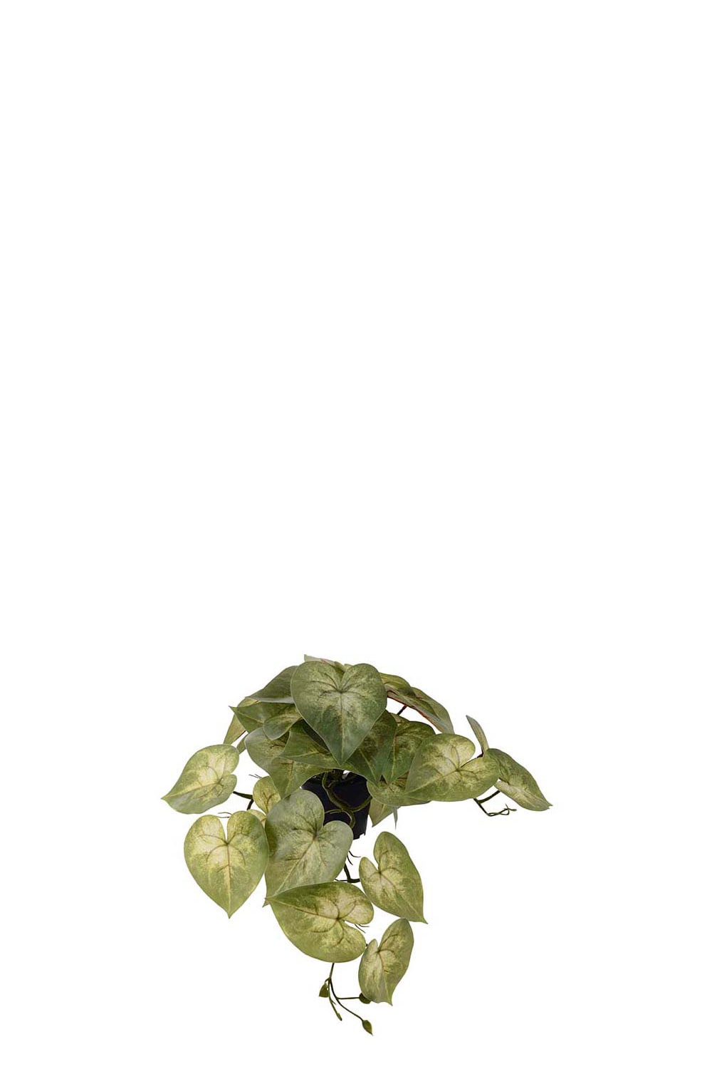 Konstgjord grön Caladium 20cm
