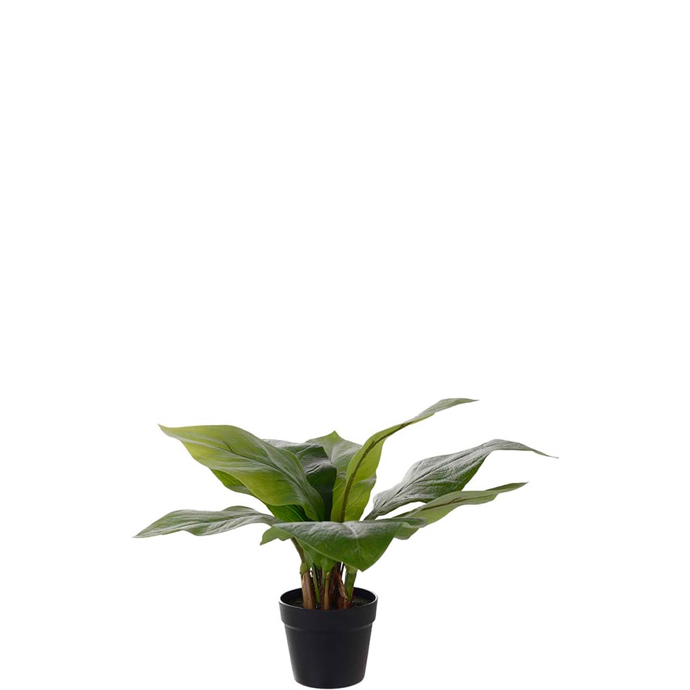 Konstgjord grön Anthurium 45cm