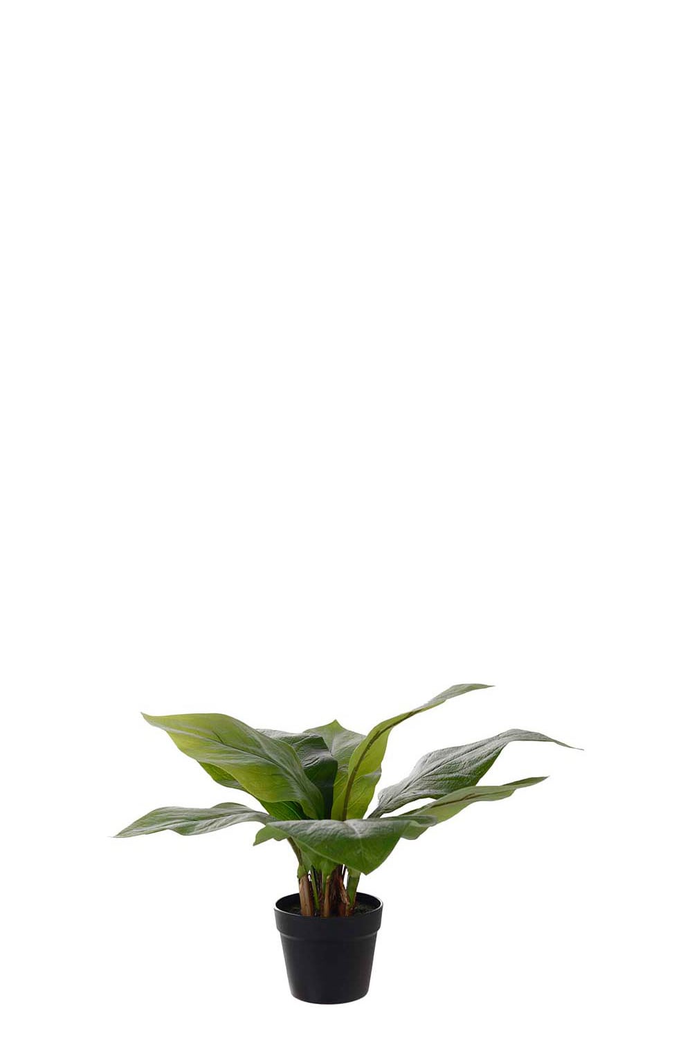 Konstgjord grön Anthurium 45cm
