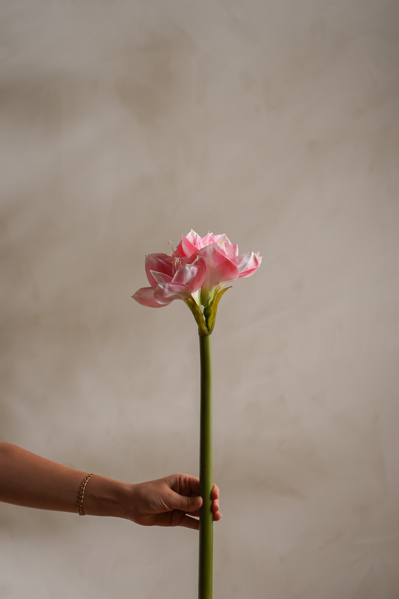 Konstgjord rosa Amaryllis 60cm