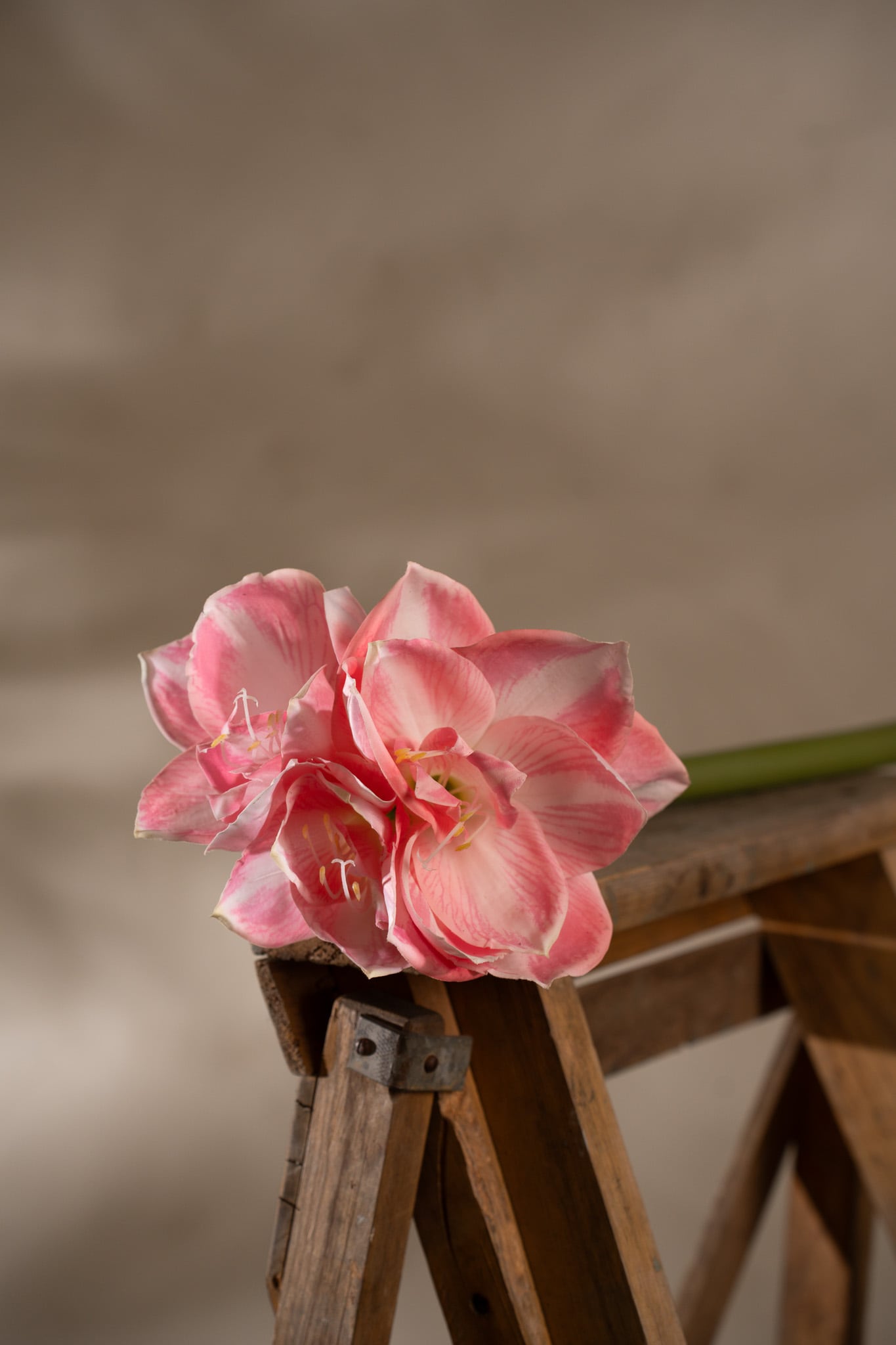Konstgjord rosa Amaryllis 60cm