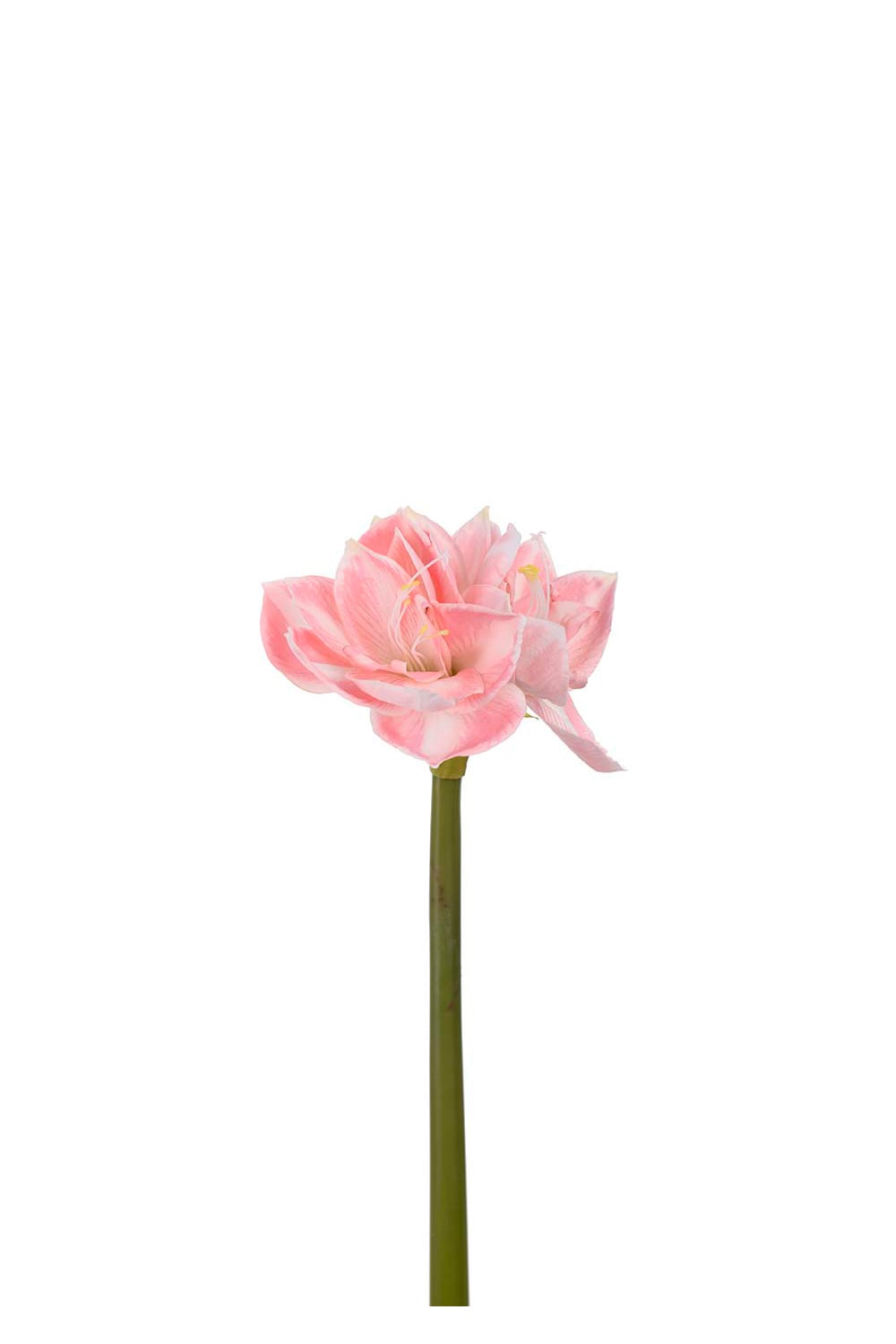 Konstgjord rosa Amaryllis 60cm