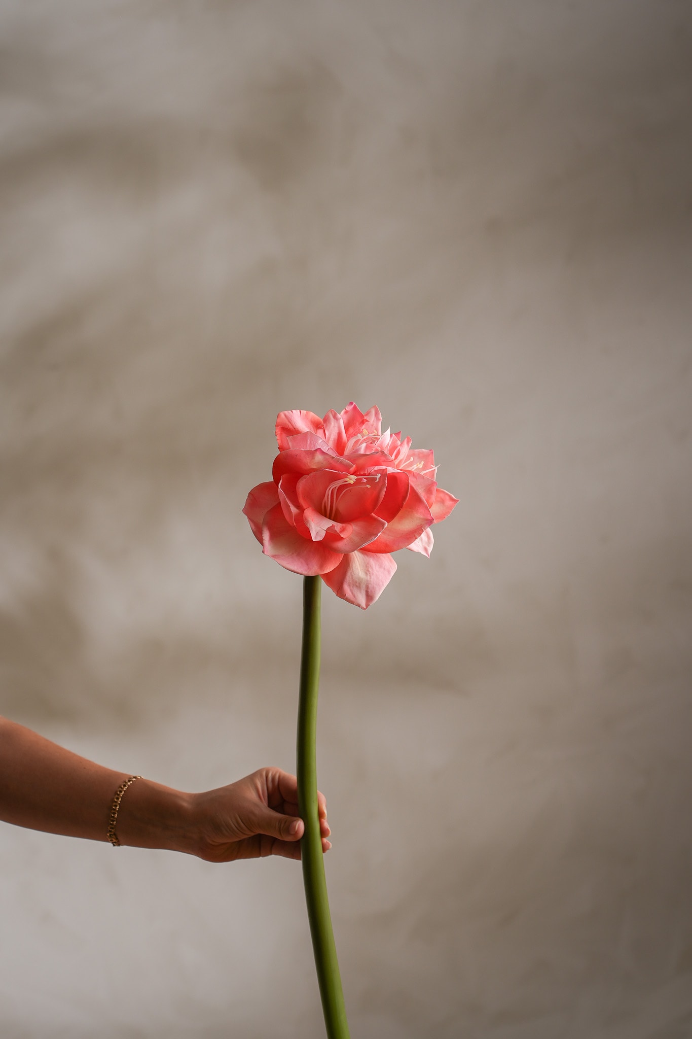 Konstgjord rosa Amaryllis 60cm