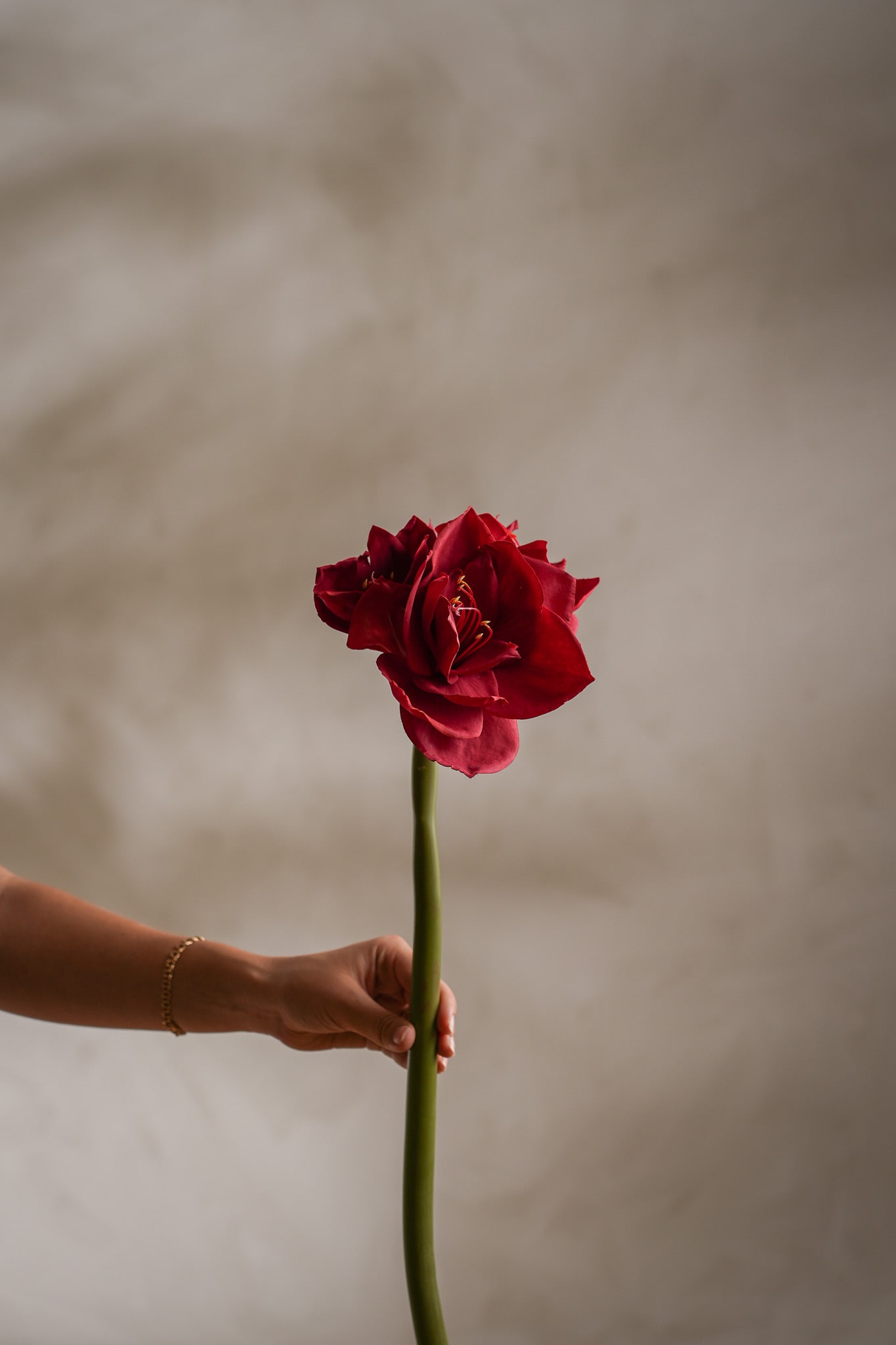 Konstgjord röd Amaryllis 60cm