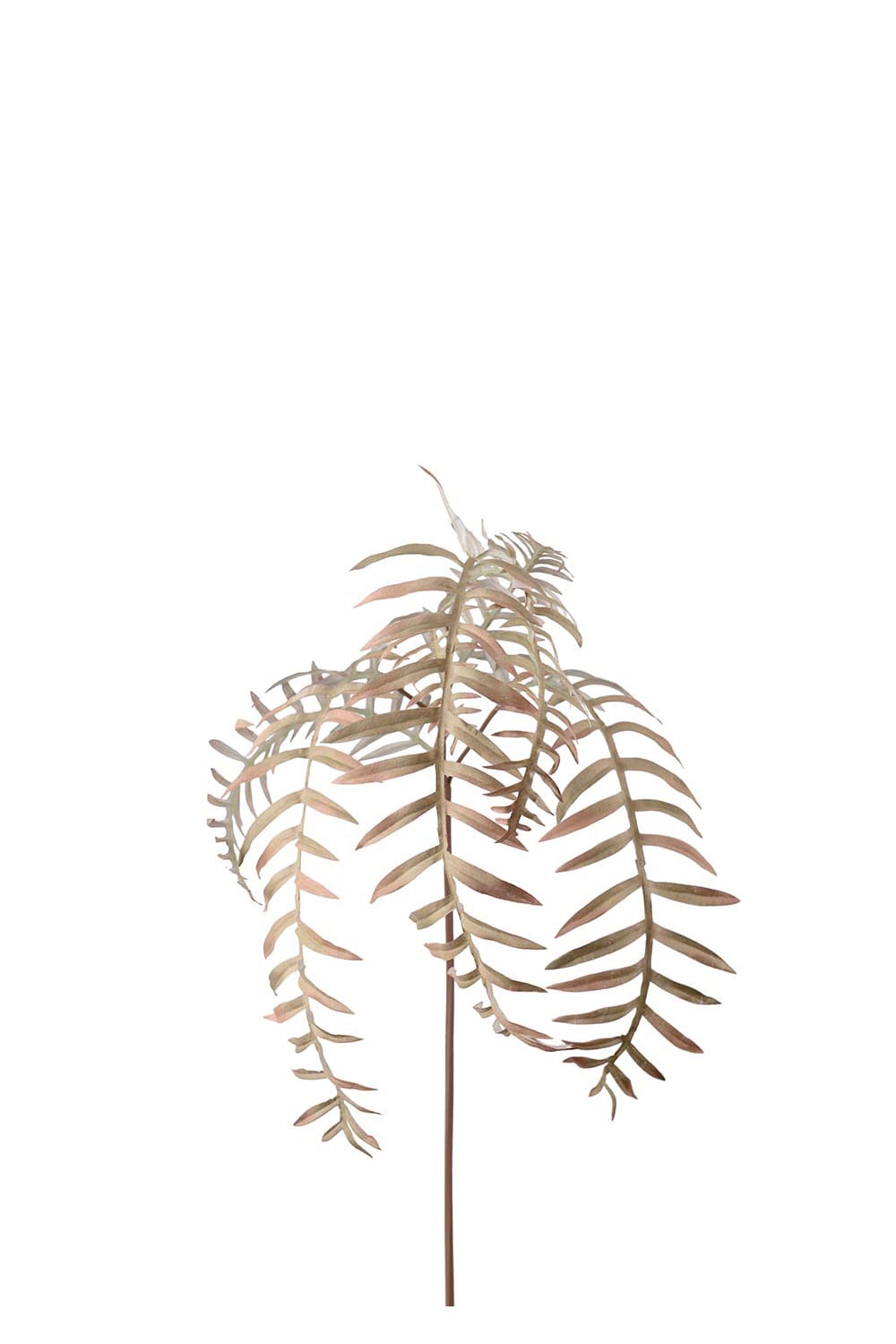 Konstgjord beige Ormbunksblad 50cm