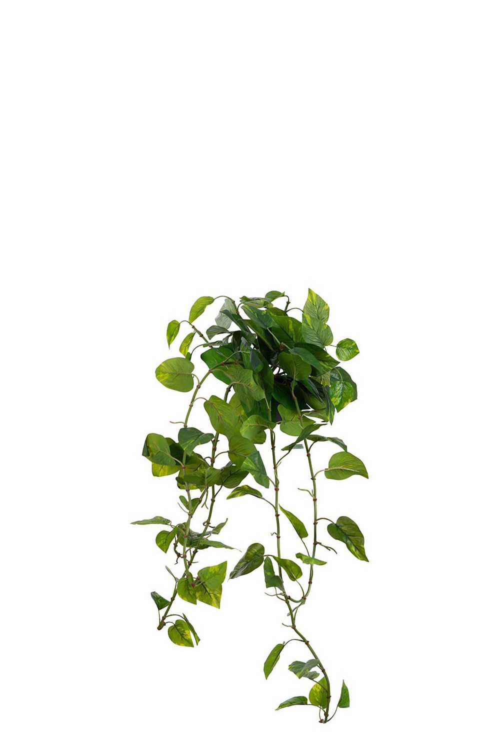 Konstgjord grön Gullranka 25cm