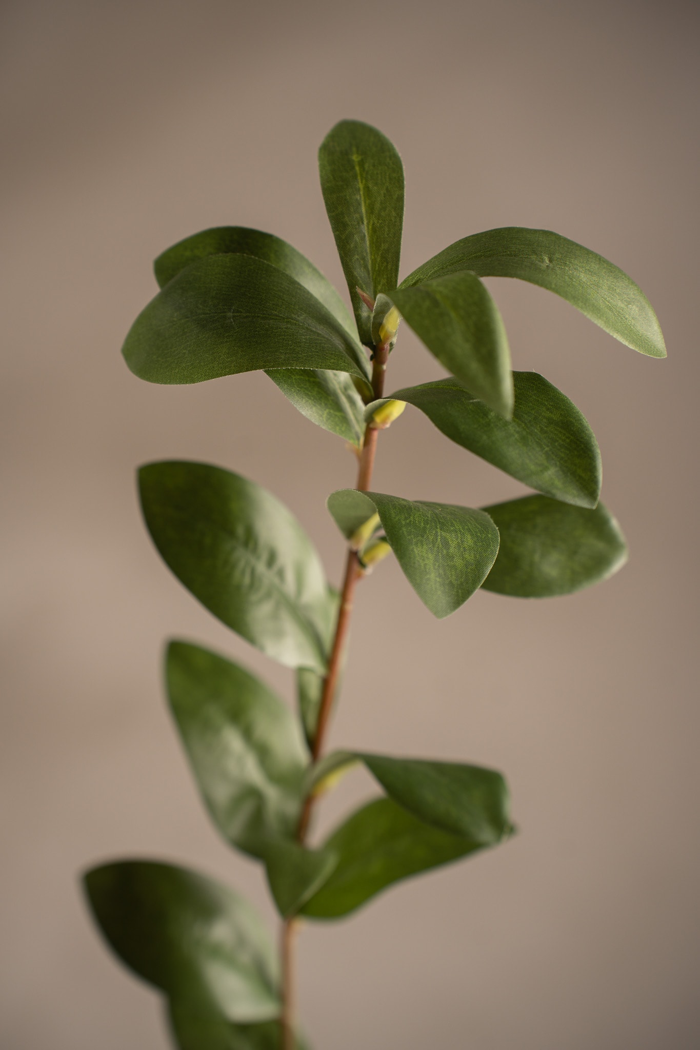 Konstgjord grön Ruscus 77cm
