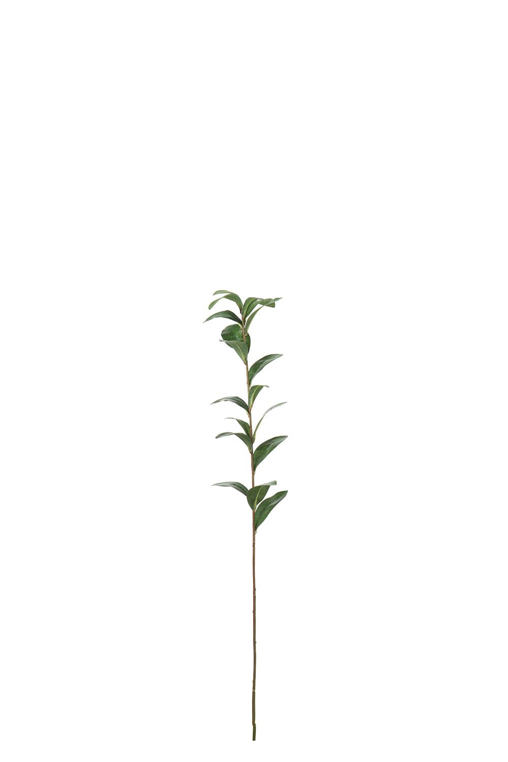 Konstgjord grön Ruscus 77cm