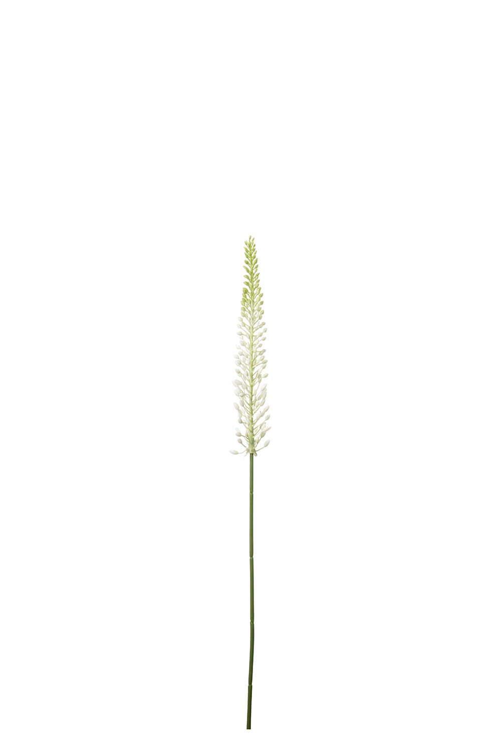 Konstgjord vit Eremurus 75cm