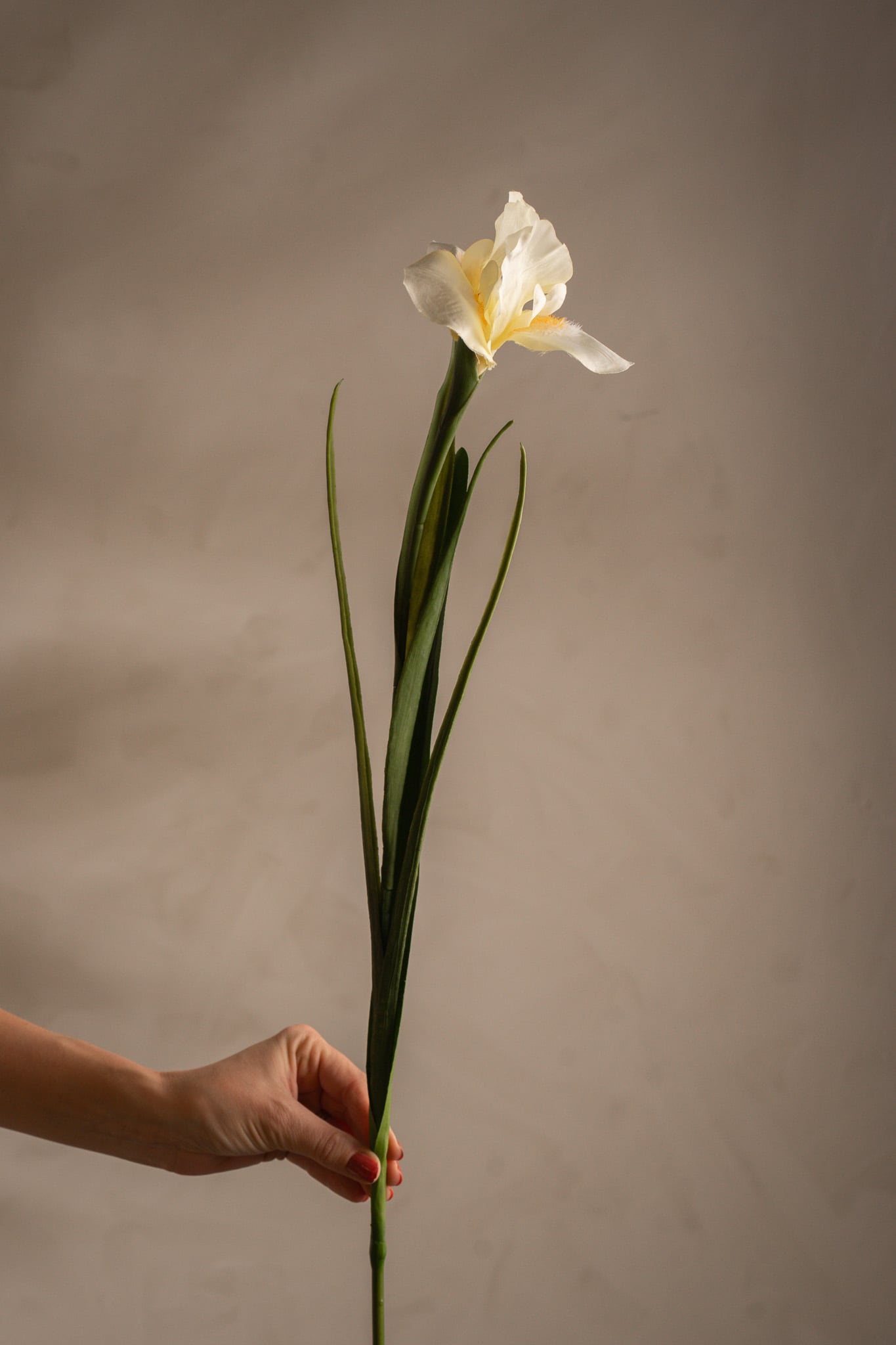 Konstgjord gul Iris 68cm
