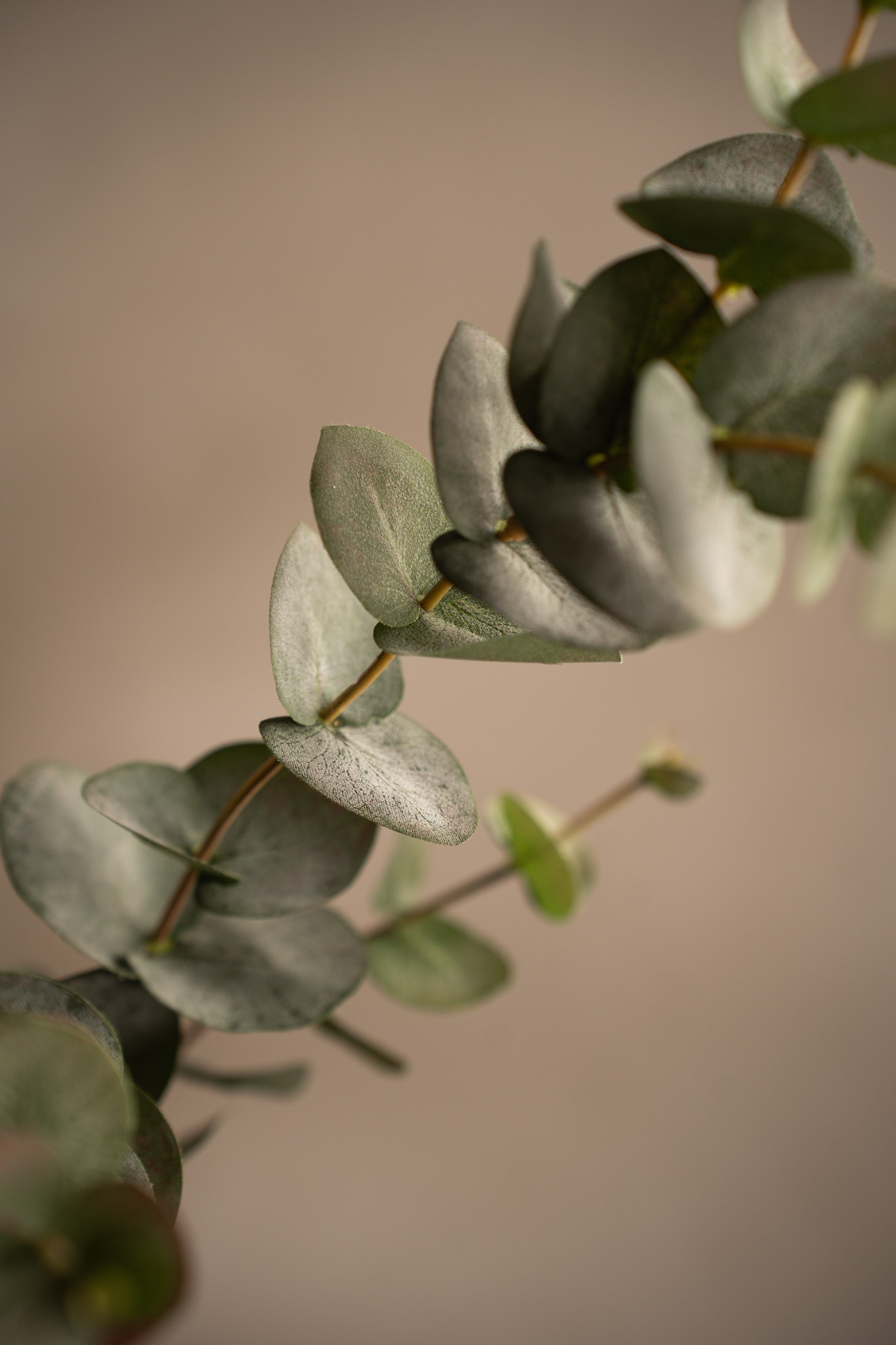 Konstgjord grå Eucalyptus 80cm