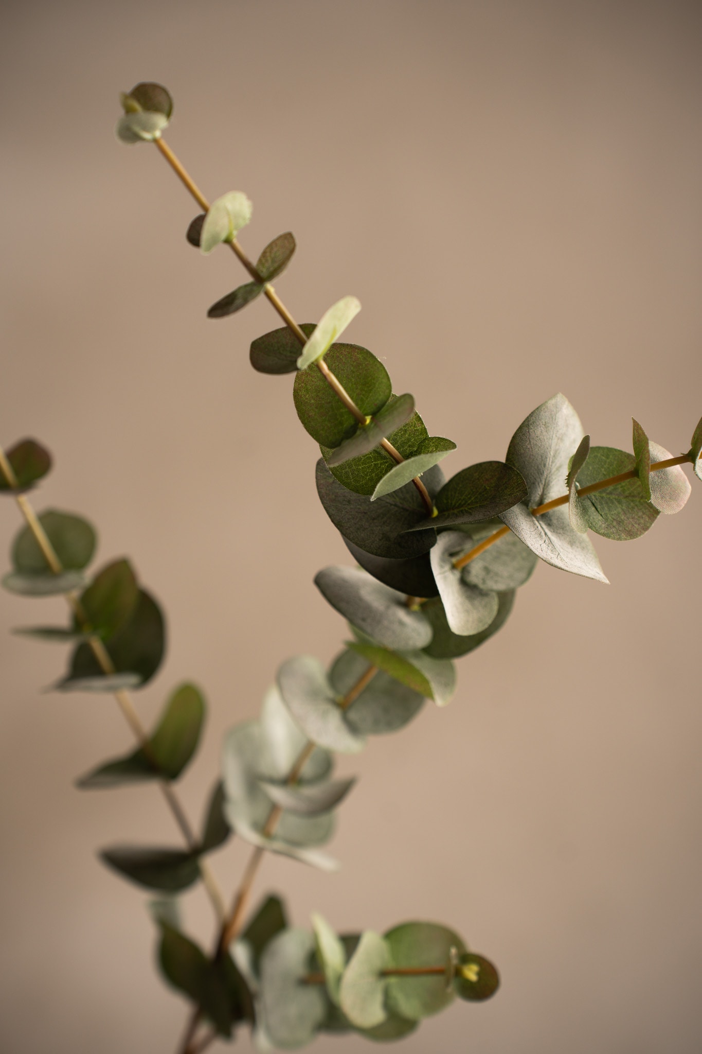 Konstgjord grå Eucalyptus 80cm